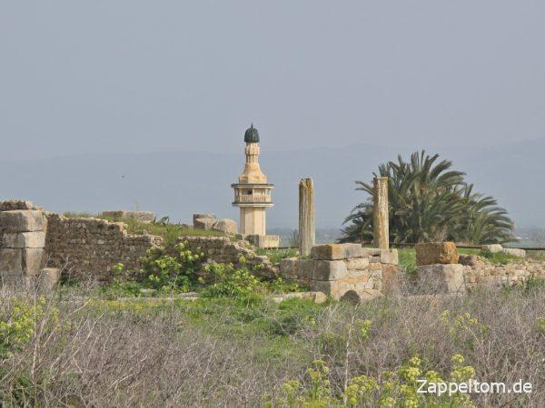 Antike Stadt Bulla Regia