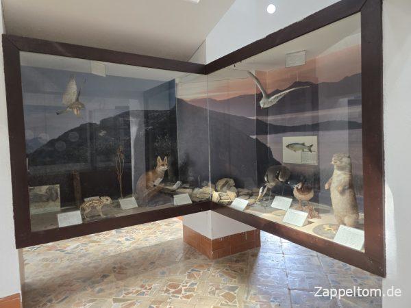 Ausstellung im Nationalpark-Museum Ichkeul