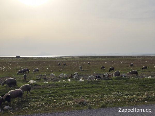 Lac de Bizerte in Tunesien