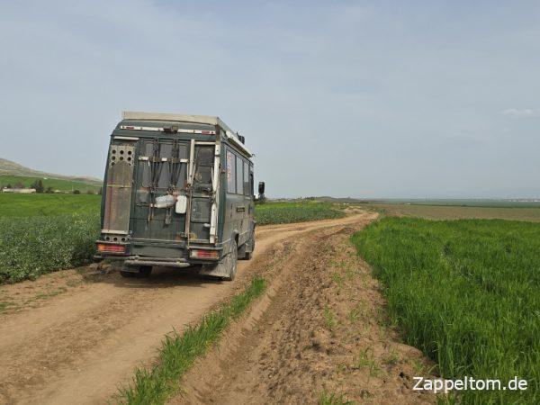 Mercedes 711D auf der Schlammpiste nach Bulla Regia