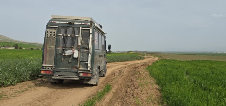 Mercedes 711D auf der Schlammpiste nach Bulla Regia