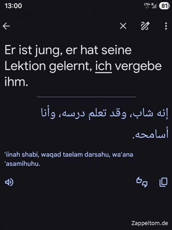 Screenshot meines Goggle-Übersetzers