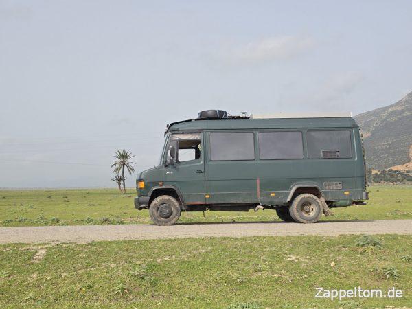 Wohnmobil-Safari im UNESCO-Weltnaturerbe Ichkeul