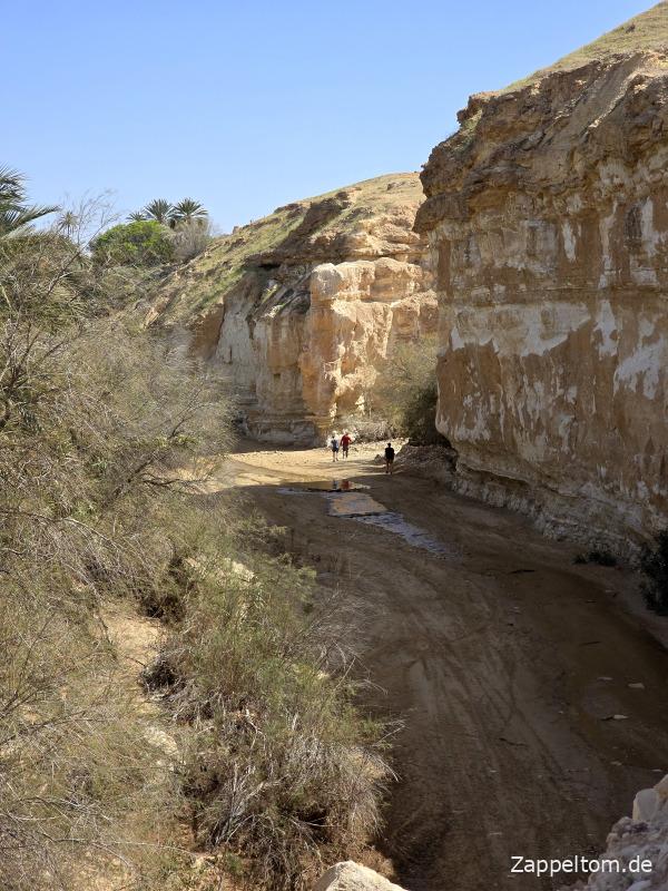 Eingang zum Canyon von Tamerza