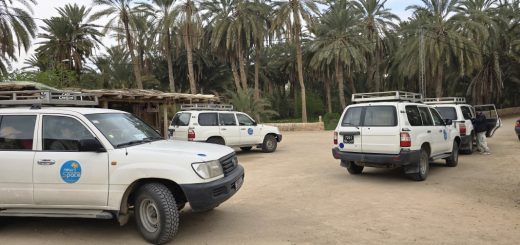 Land Cruiser-Tourismus zu den Schluchten von Mides