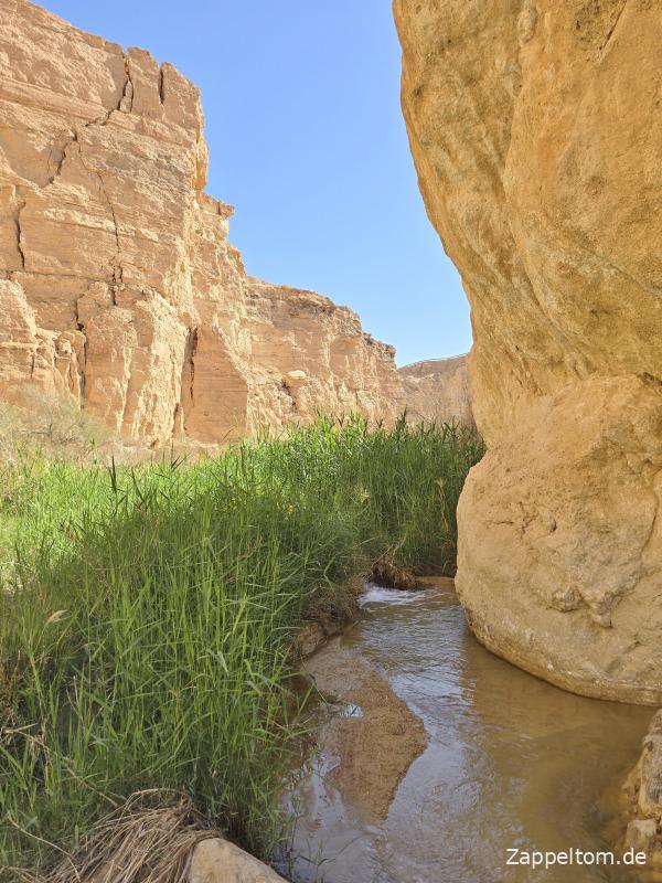 Untere Schlucht Tamerza