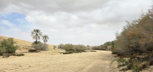 Wadi oberhalb der Schlucht von Mides