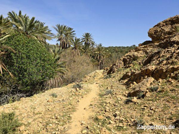 Wanderung Mides - Tamerza - Mides in Tunesien
