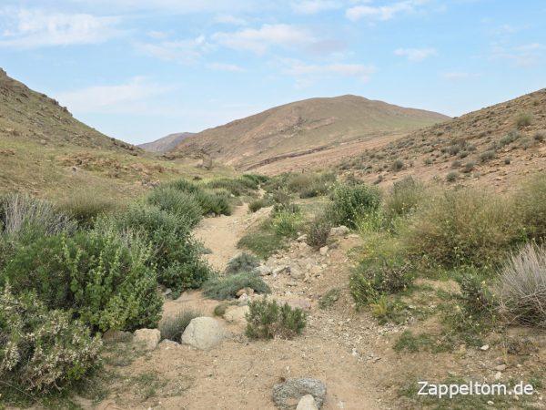 Wilder Wanderweg