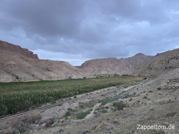 Gorges de Thelja bei Metlaoui