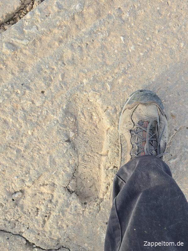 Kein Stiefelabdruck der Wehrmacht im Beton der Rommelpiste
