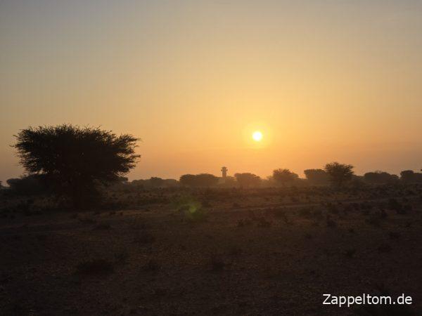 Aussichtsturm im Nationalpark Bou Hedma