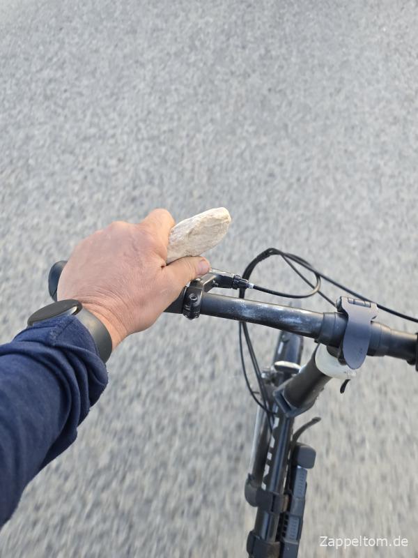 Hundesicherung beim Radfahren in Tunesien