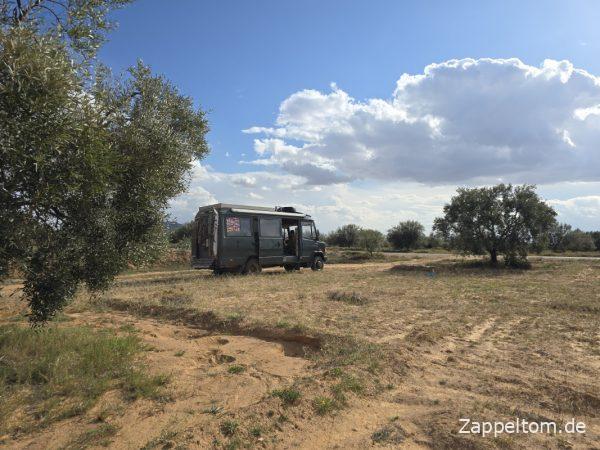 Rast im Olivenhain Souk Jedid