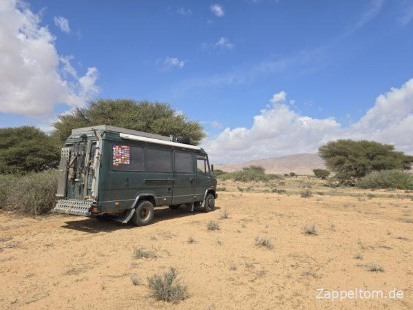 Safari durch die Savanne des Nationalparks Bou Hedma