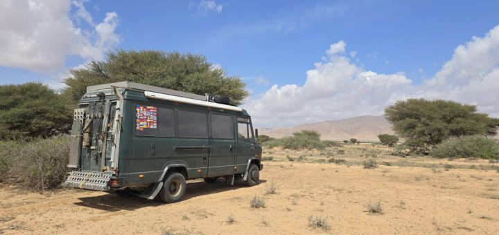 Safari durch die Savanne des Nationalparks Bou Hedma