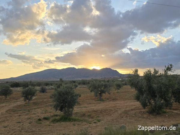 Sonnenuntergang über dem Nationalpark Jebel Mghilla