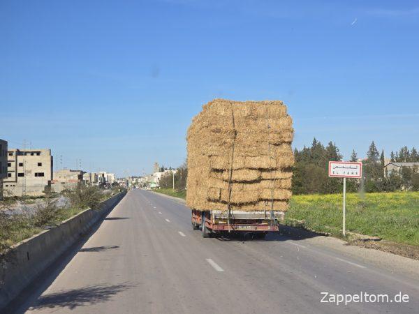 Strohtransport zum Markt El Fahs Strohtransport zum Markt El Fahs
