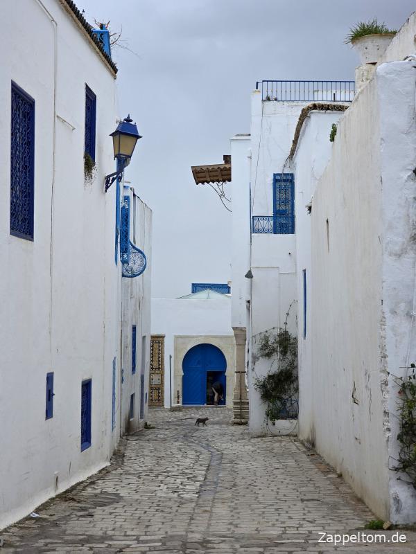 Weiß-blaue Gasse von Sidi Bou Saïd Weiß-blaue Gasse von Sidi Bou Saïd